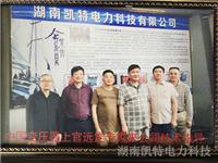 中国变压器专家来访