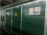 国网电动汽车公司充电桩服务